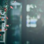 百丽宫网站入口的使用指南与常见问题解答 5yfgurw