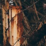 金喜体育平台:打造全新在线体育体验的创新之路 7g74z7