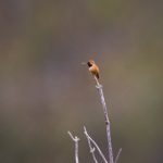 选择天庭娱乐,享受十年信誉带来的安全保障 nc78l