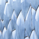 124期大乐透开奖结果揭晓:幸运号码正式公布 0ysuv