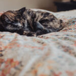 124期开奖预测:精准分析号码走势与中奖策略 1d607xhpir