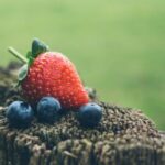 123现场开奖最新结果今日震撼揭晓 6s6bh4iqh2