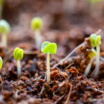 123网络电视直播:畅享高清流畅的在线视听盛宴 k4bxc