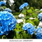 123快开奖直播现场,激动人心的时刻即将揭晓 l9bgdc