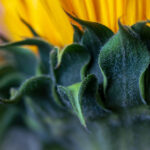 30号体育彩票开奖公告及中奖号码查询 ygqllk9vqr