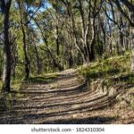 30码开奖记录最新完整版历史数据汇总查询 zs1y65zu0